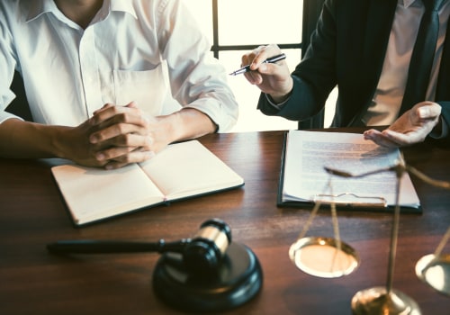 Navigating the Complexities: Challenges Faced by Public Interest Lawyers in Government Interactions